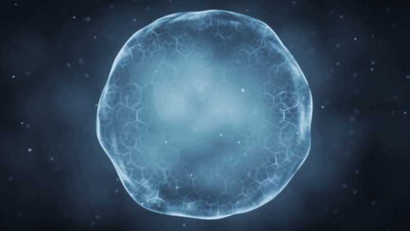 生物反应器悬浮培养：揭秘细胞培养的“隐形功臣”**