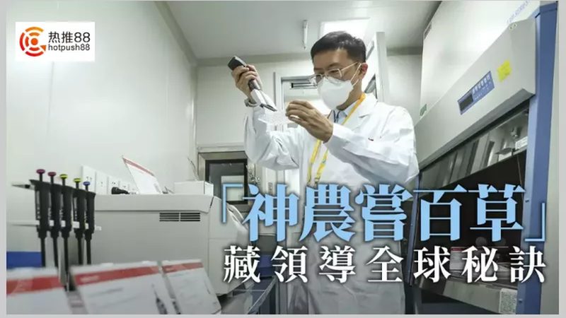 测序引物合成：精准合成，助力科研之路**