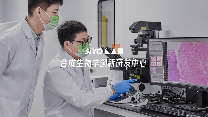 原代细胞培养：揭秘成功关键与常见陷阱**