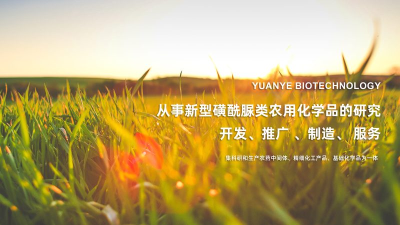 细胞工厂生产资质：关键材料与合规要点