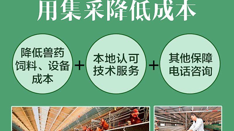 血液制品价格之谜：揭秘背后的市场逻辑