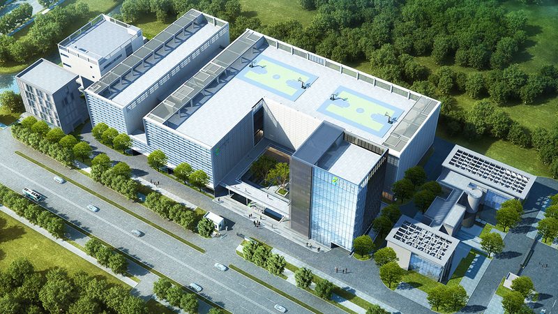 基因测序报告中的关键位点如何精准定位