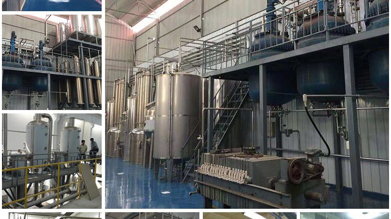 抗体生产厂家十大品牌：揭秘生物医药行业的关键力量