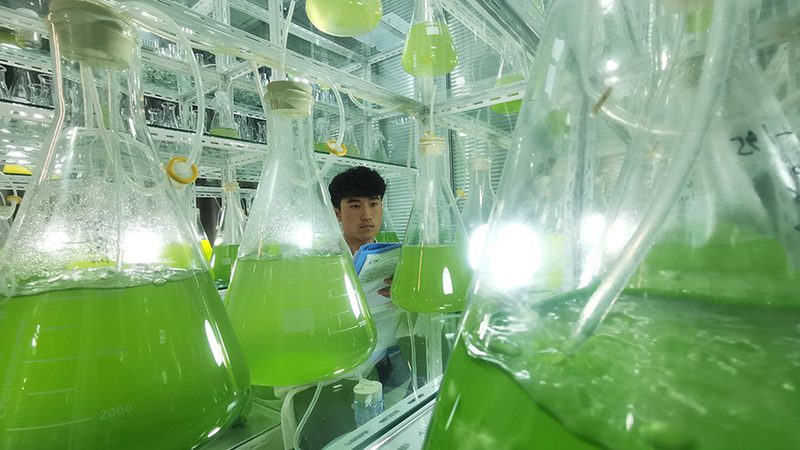 山东脂肪酶生产厂家：揭秘生物催化背后的关键角色**